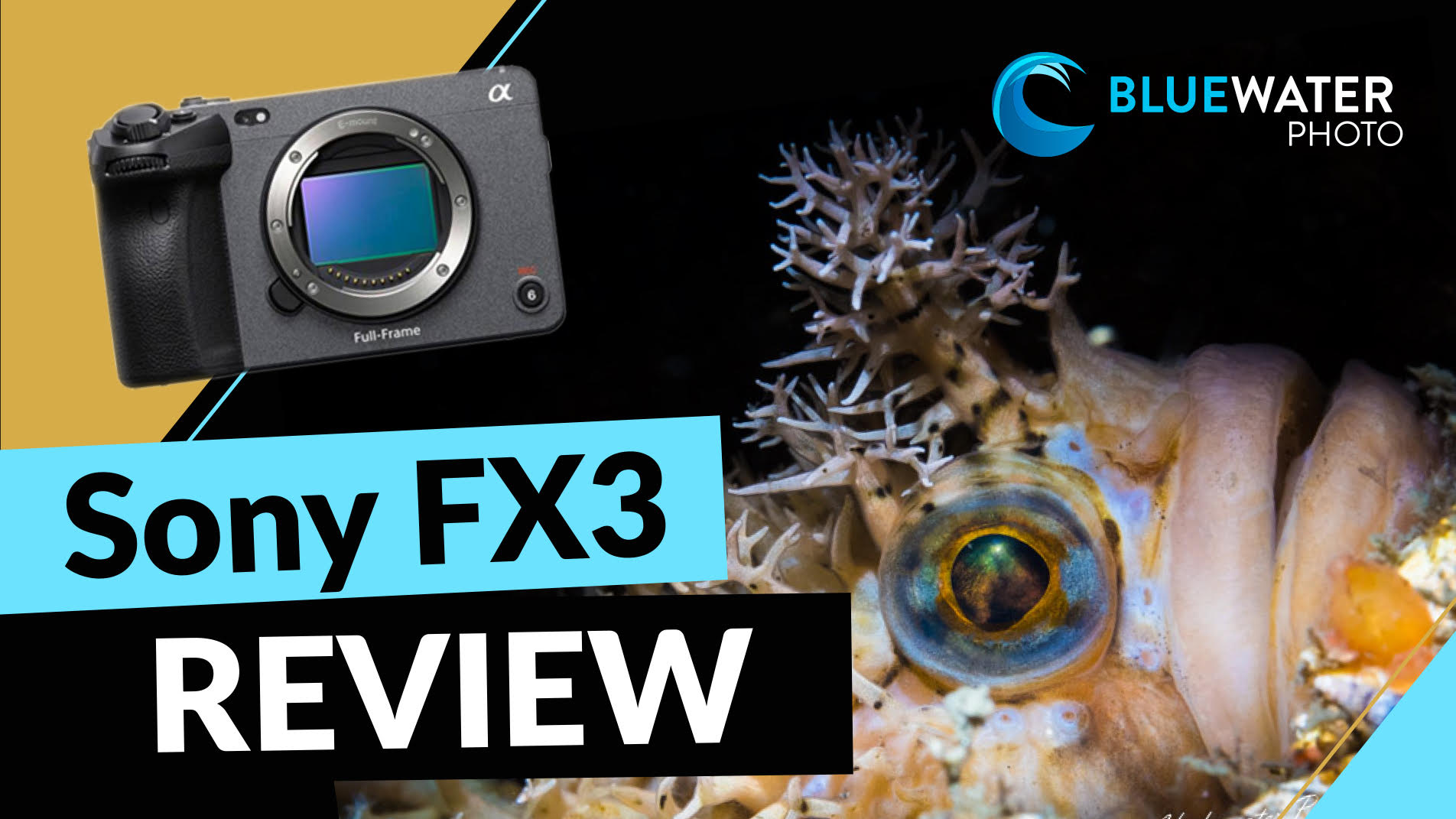 Sony FX3 カメラ Sony FX3 Review | Still worth it? - YouTube
